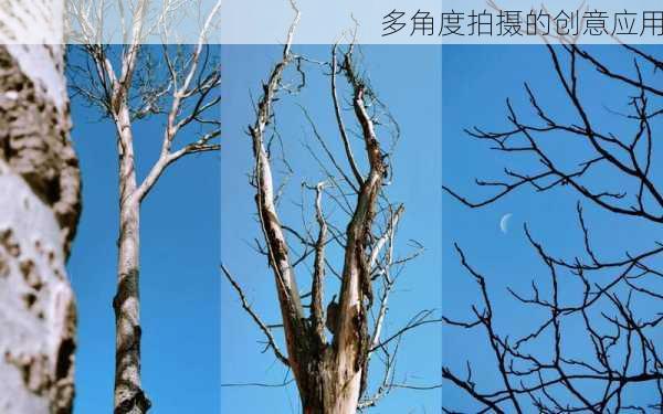 多角度拍摄的创意应用