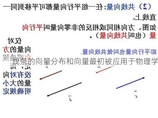 线条的向量分布和向量最初被应用于物理学