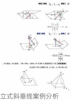 立式斜垂线案例分析