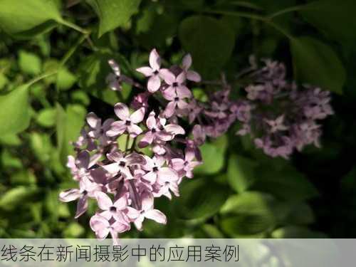 线条在新闻摄影中的应用案例