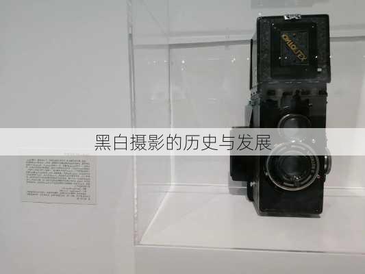 黑白摄影的历史与发展