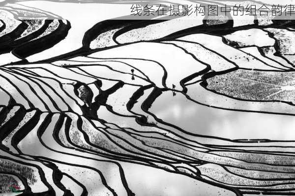 线条在摄影构图中的组合韵律