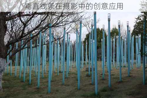 垂直线条在摄影中的创意应用