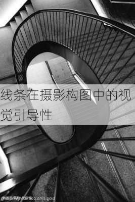 线条在摄影构图中的视觉引导性