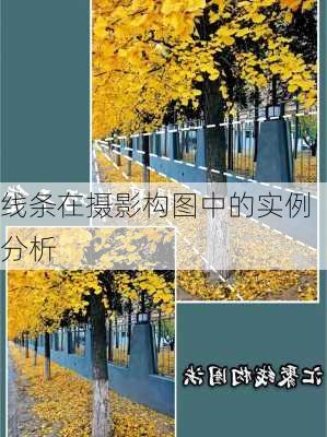线条在摄影构图中的实例分析
