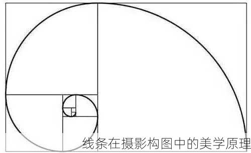 线条在摄影构图中的美学原理