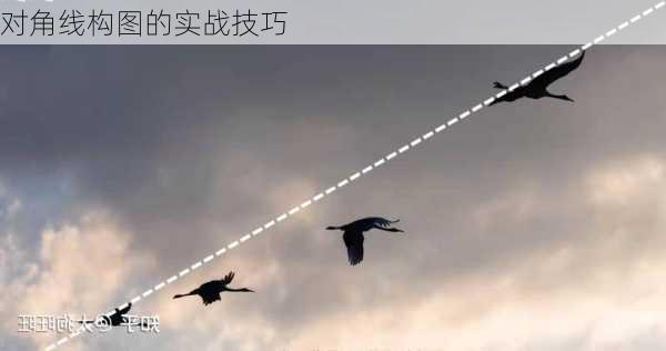 对角线构图的实战技巧
