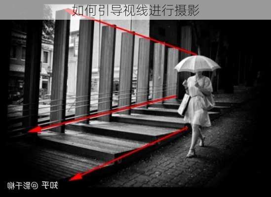 如何引导视线进行摄影