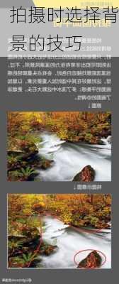 拍摄时选择背景的技巧