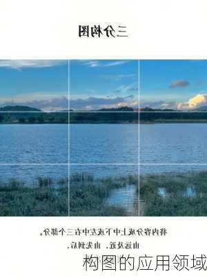 构图的应用领域