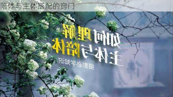陪体与主体搭配的窍门