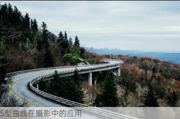 S型曲线在摄影中的应用