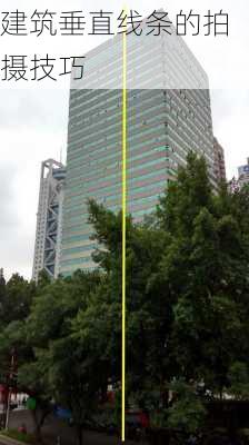 建筑垂直线条的拍摄技巧