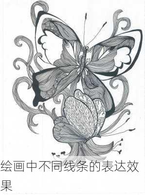 绘画中不同线条的表达效果