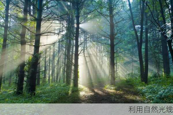 利用自然光线