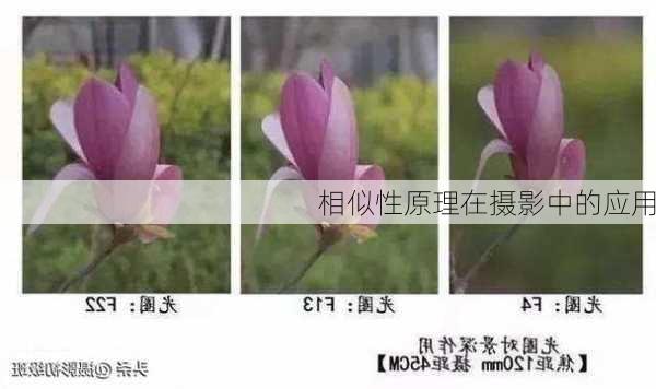 相似性原理在摄影中的应用