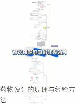 药物设计的原理与经验方法