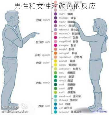 男性和女性对颜色的反应