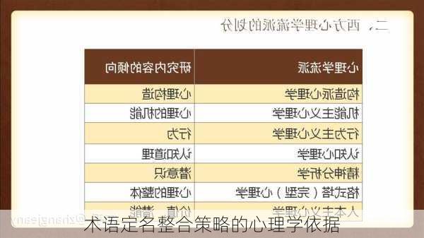 术语定名整合策略的心理学依据