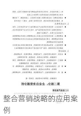 整合营销战略的应用案例