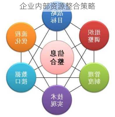 企业内部资源整合策略