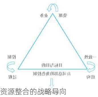 资源整合的战略导向