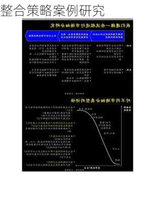 整合策略案例研究