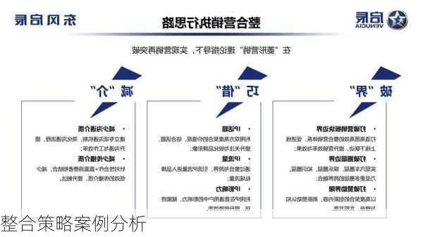 整合策略案例分析