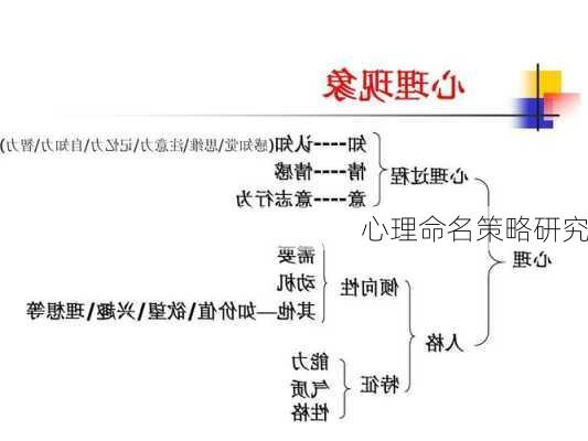 心理命名策略研究