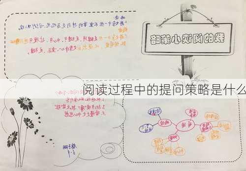 阅读过程中的提问策略是什么