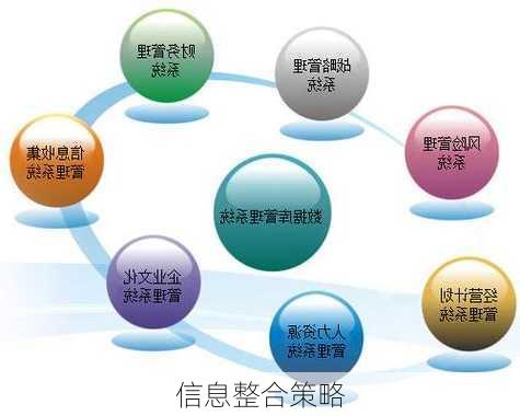 信息整合策略