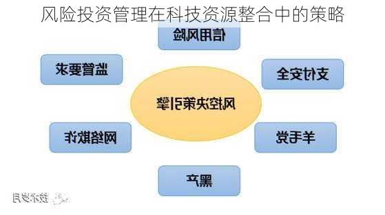 风险投资管理在科技资源整合中的策略