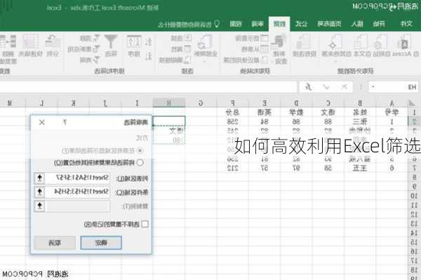 如何高效利用Excel筛选