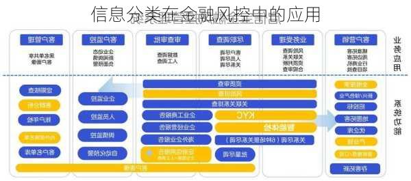 信息分类在金融风控中的应用