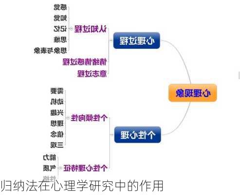归纳法在心理学研究中的作用