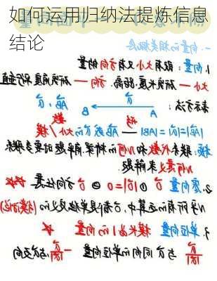 如何运用归纳法提炼信息结论