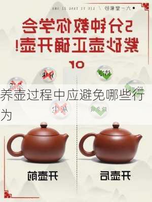 养壶过程中应避免哪些行为