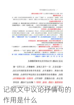 记叙文中议论抒情句的作用是什么
