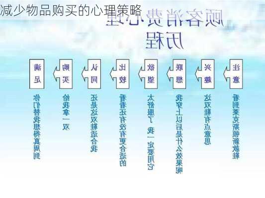 减少物品购买的心理策略