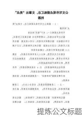 提炼公文标题
