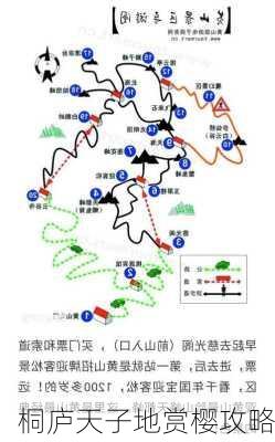 桐庐天子地赏樱攻略
