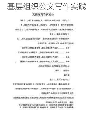 基层组织公文写作实践