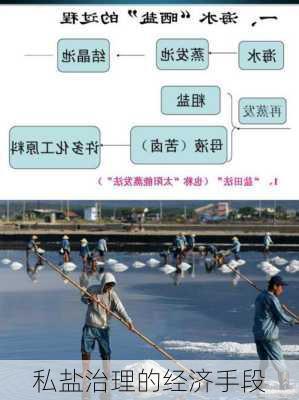 私盐治理的经济手段
