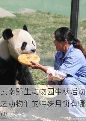 云南野生动物园中秋活动之动物们的特殊月饼有哪些