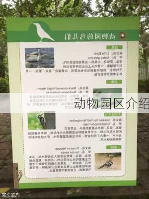 动物园区介绍