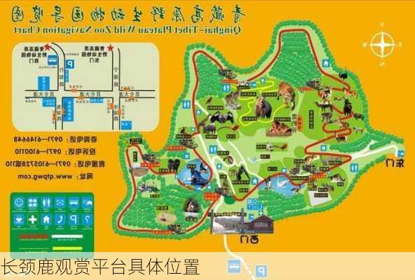 长颈鹿观赏平台具体位置