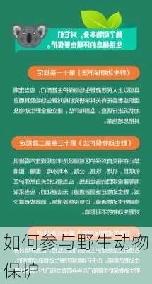 如何参与野生动物保护