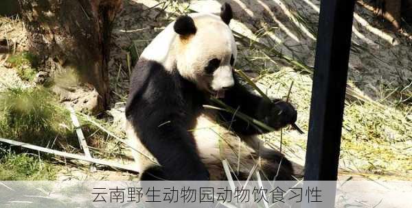 云南野生动物园动物饮食习性