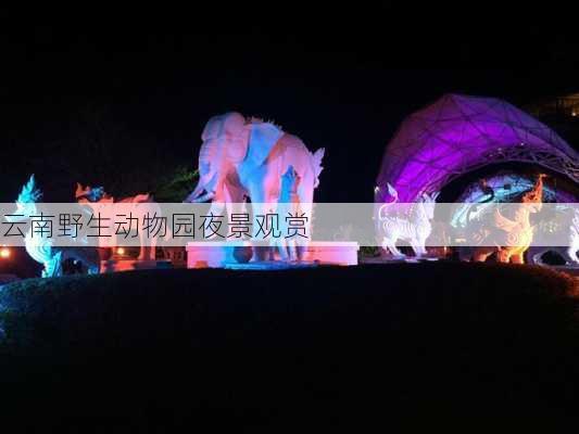 云南野生动物园夜景观赏