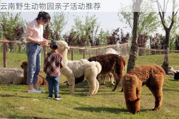 云南野生动物园亲子活动推荐